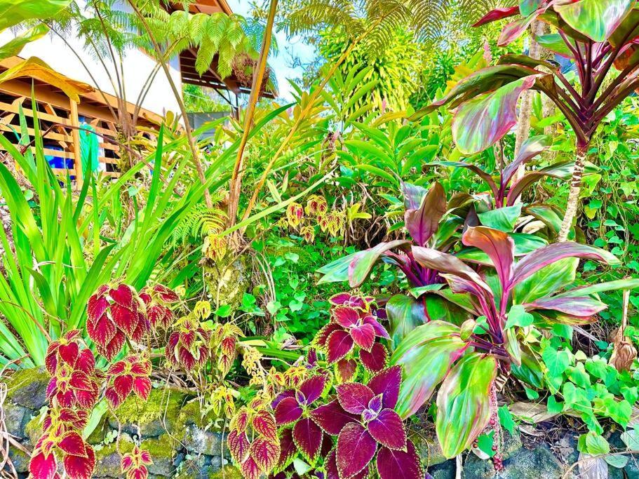 Puna Zen Botanical Garden Retreat Keaau Kültér fotó